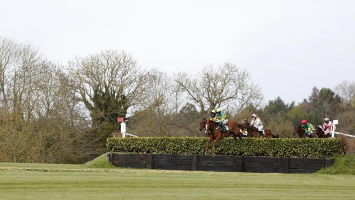 Punchestown